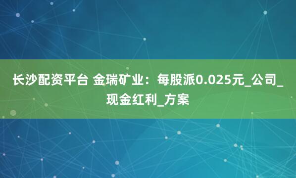 长沙配资平台 金瑞矿业：每股派0.025元_公司_现金红利_方案