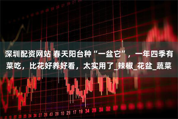 深圳配资网站 春天阳台种“一盆它”，一年四季有菜吃，比花好养好看，太实用了_辣椒_花盆_蔬菜