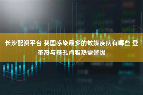 长沙配资平台 我国感染最多的蚊媒疾病有哪些 登革热与基孔肯雅热需警惕